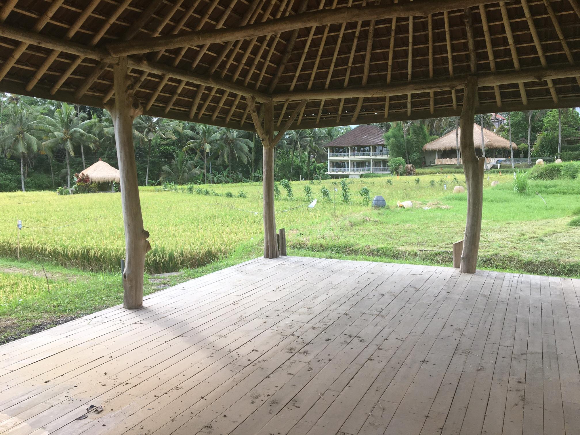 Mathis Retreat Ubud Exterior foto