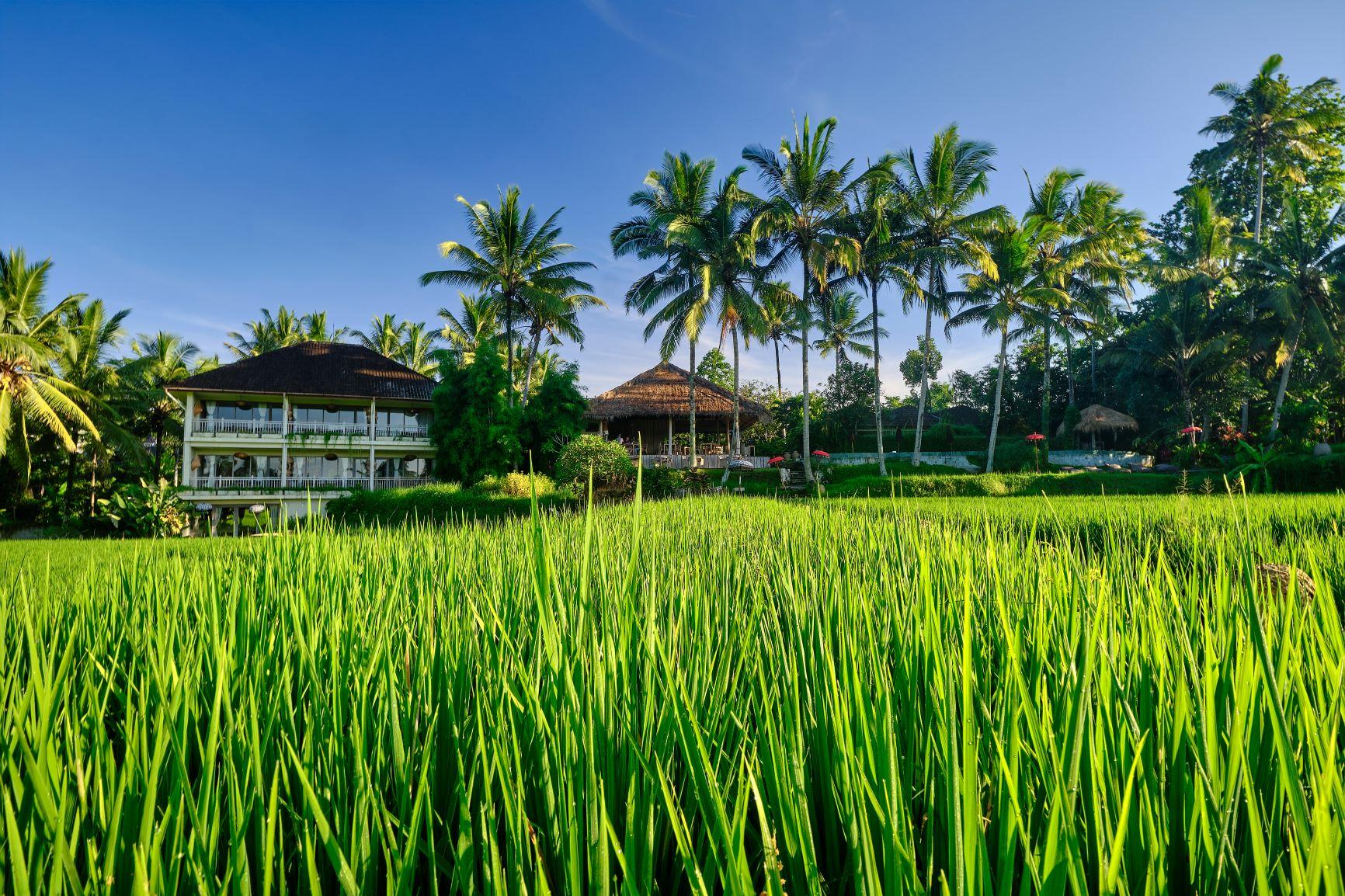Mathis Retreat Ubud Exterior foto