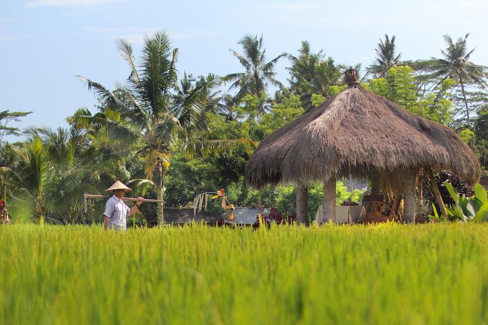 Mathis Retreat Ubud Exterior foto