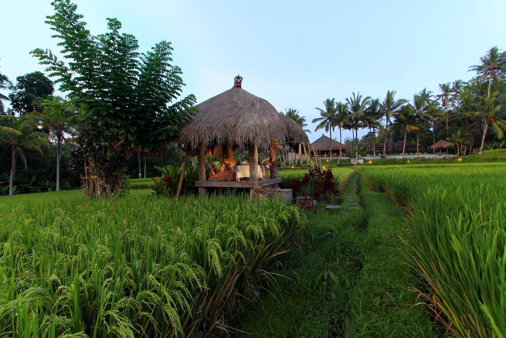 Mathis Retreat Ubud Exterior foto
